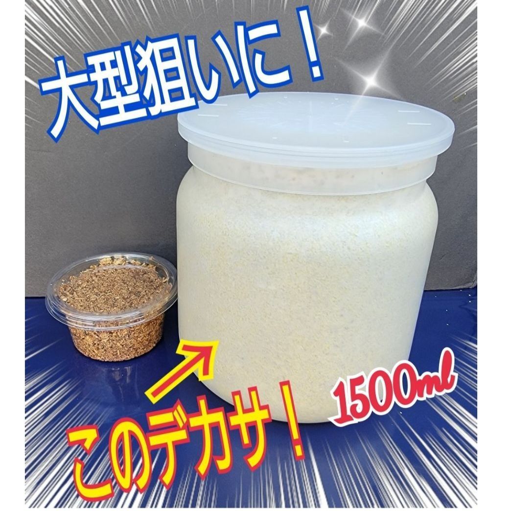 極上！ヒマラヤひらたけ菌糸瓶☆特大1500ml トレハロース