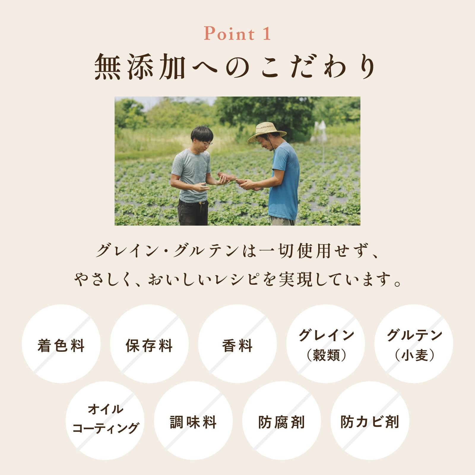  犬猫生活 キャットフードオールステージ 金沢港の朝獲れ魚味 750 g×2袋 グレインフリー 国産 無添加 総合栄養食 猫 おやつ ご飯 獣医師共同開発 全年齢 キャットフード ノンオイル ドライフード その他 猫用品