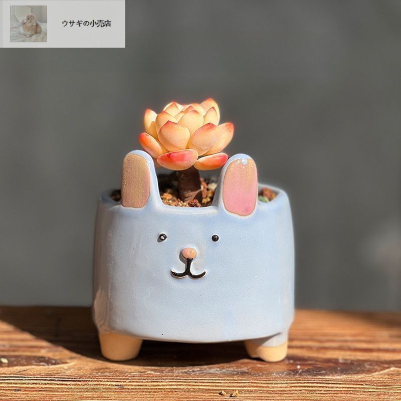 鉢植え 植木鉢 プランター プラントポット フラワーポット 花瓶