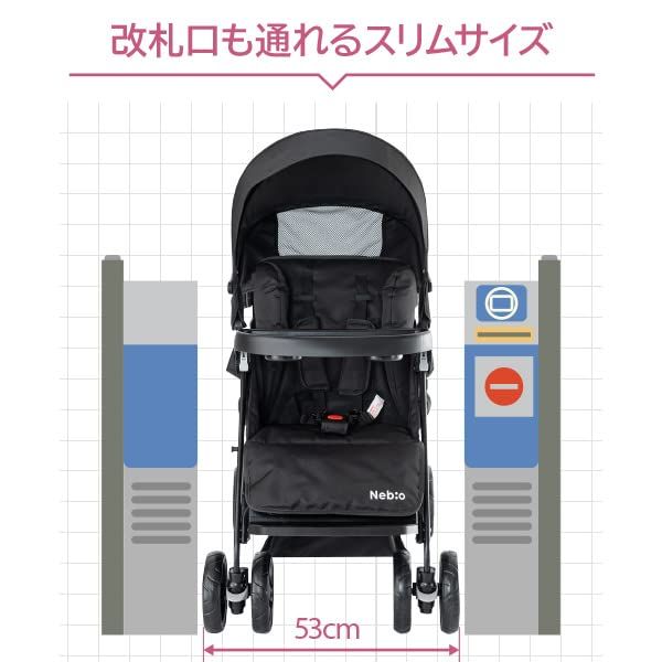 姉妹 アミティエF