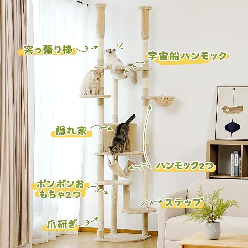 運動不足解消 多頭飼い