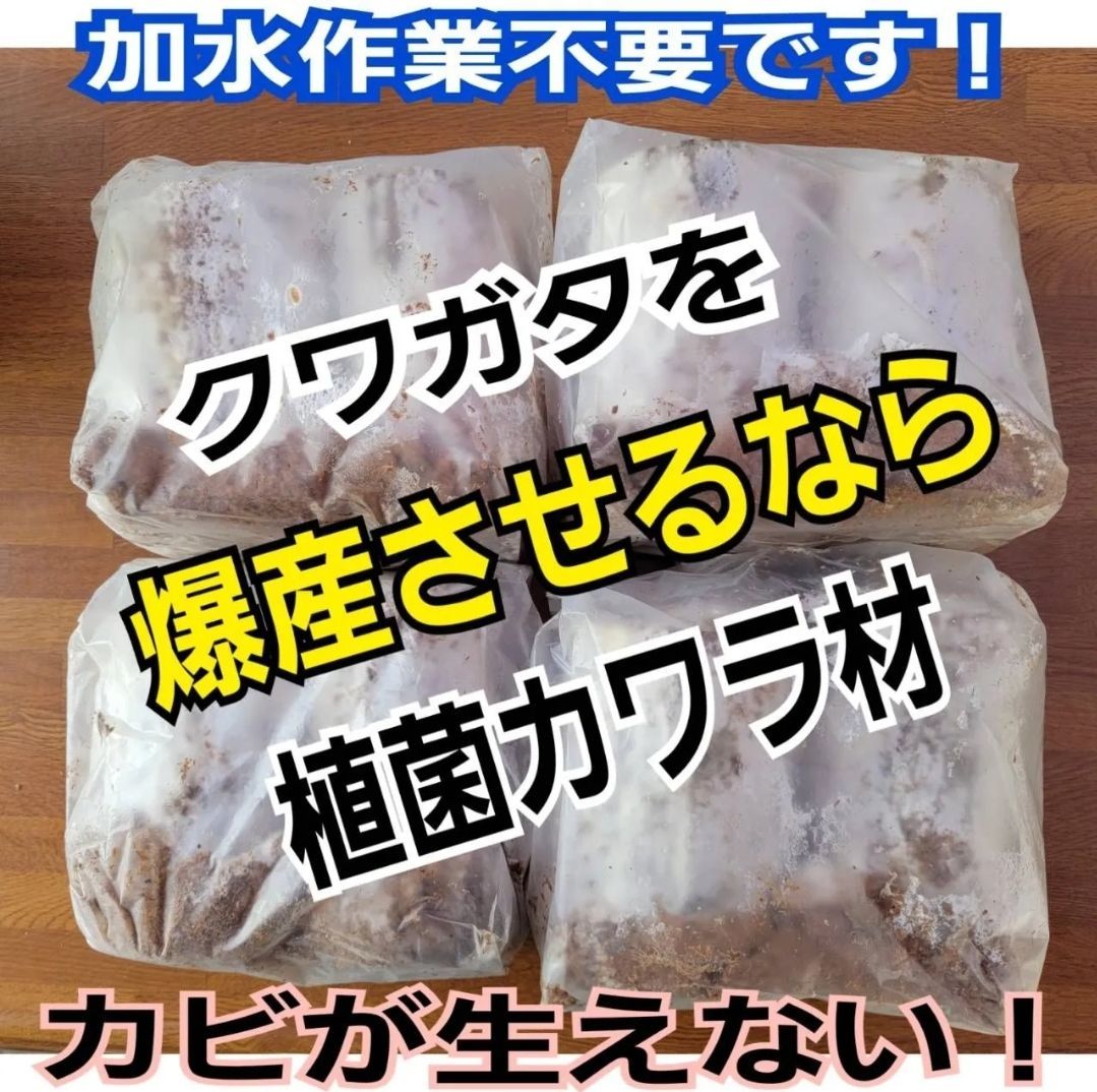 極上！植菌カワラ材【8本セット】クワガタの産卵にはコレが最強です