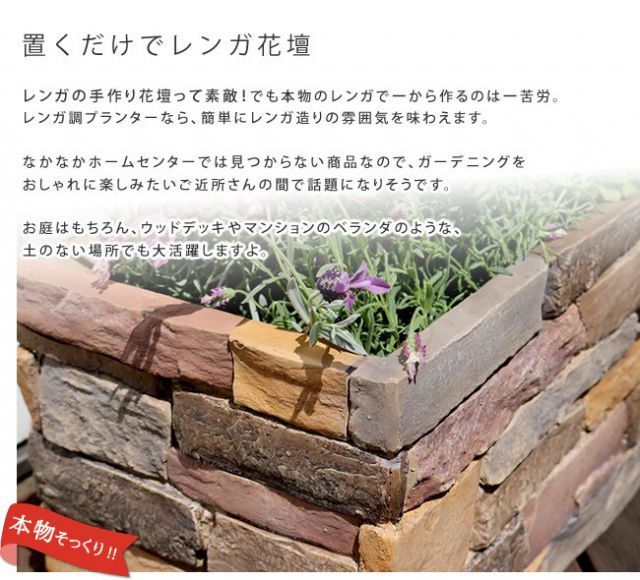 terre テール
