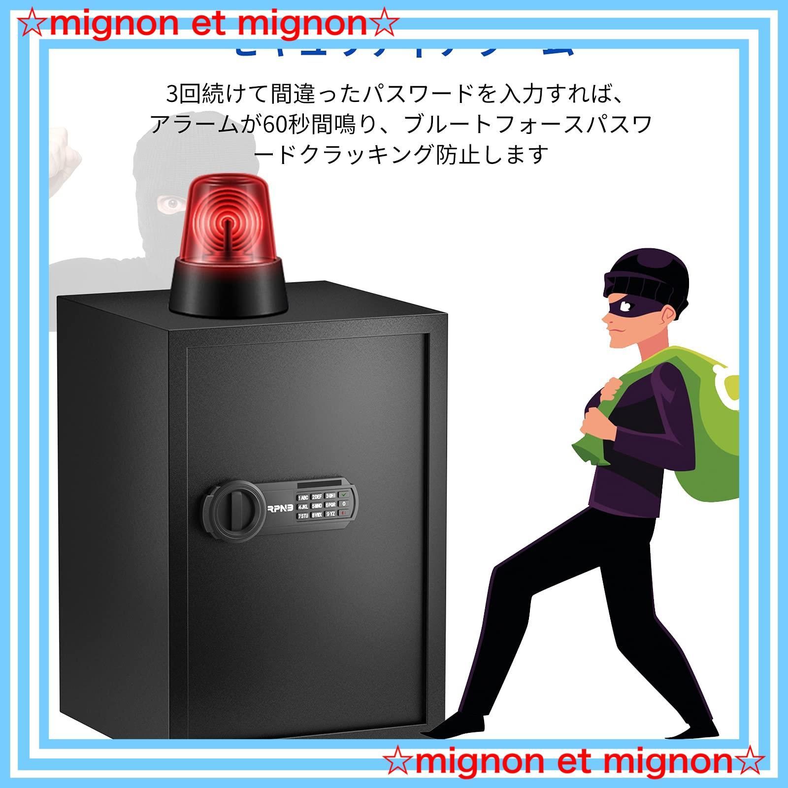 日本語マニュアル付き 51L