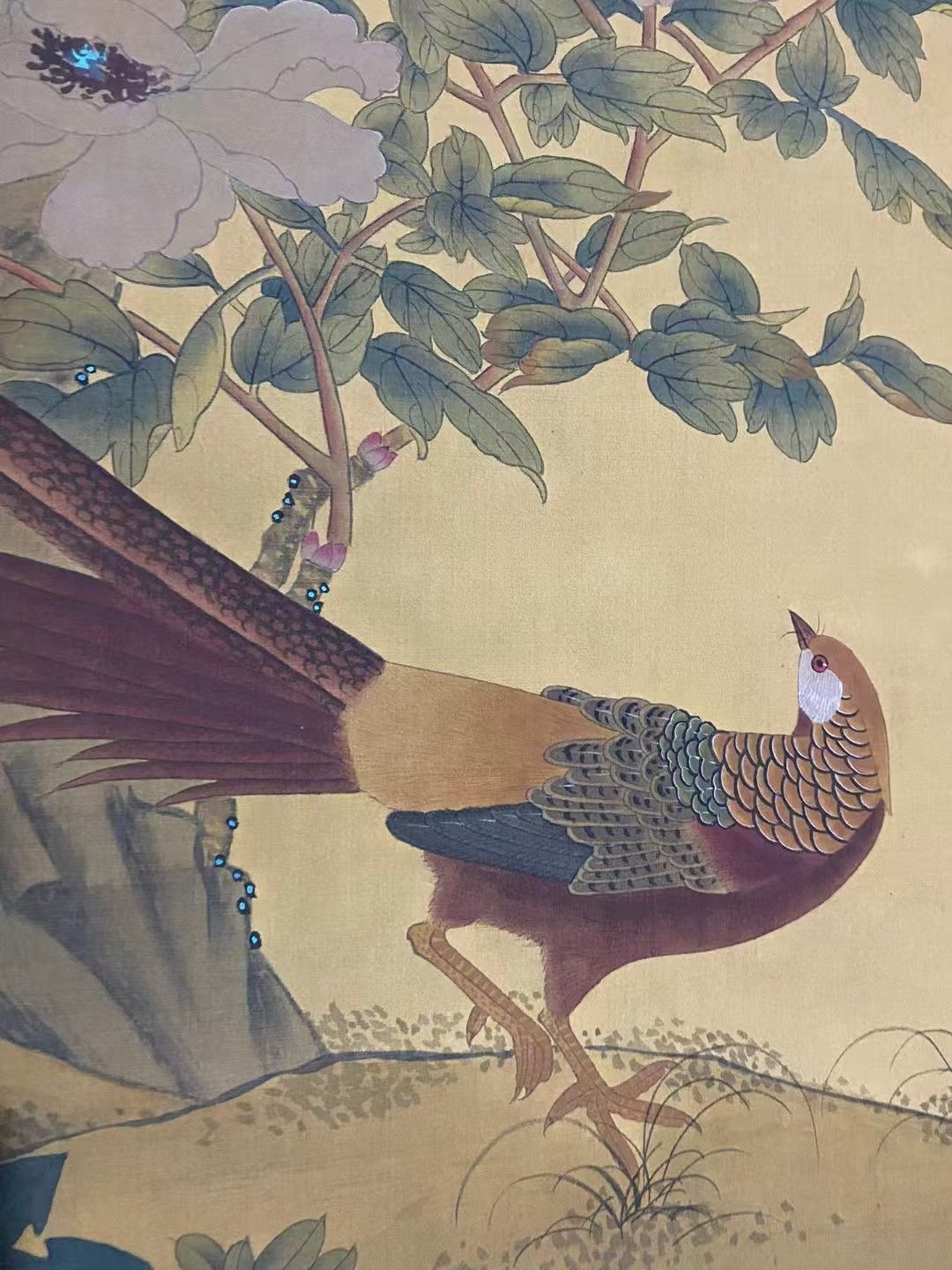 宋人花鳥冊頁1 中国古代絵画精品集 中国絵画/宋人花鸟册