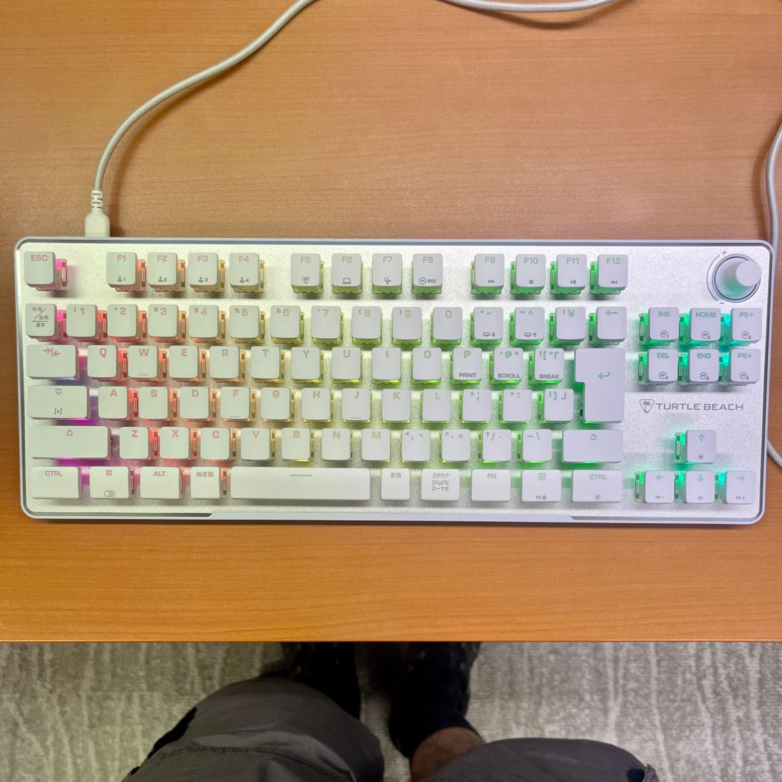 タートルビーチ