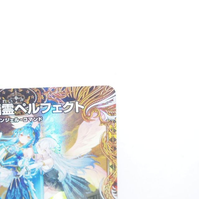 デュエルマスターズ 支配の精霊ペルフェクト 25RP3 SR SP1/SP5