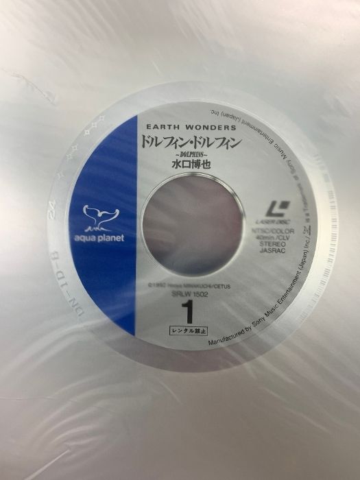 クジラの海
