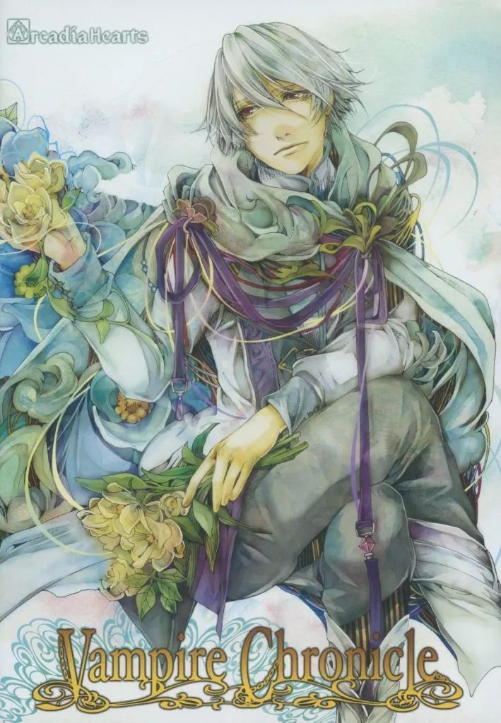 中古】同人音楽CDソフト Vampire Chronicle / ArcadiaHearts - メルカリ