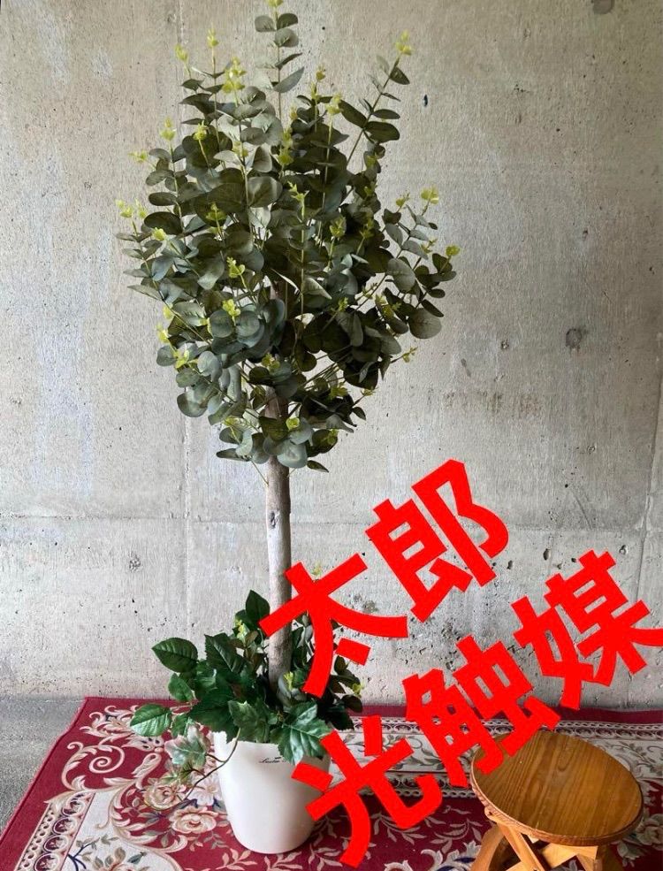 光触媒 人工観葉植物 ウォールグリーン フェイクグリーン 光触媒 人工観葉植物 ウォールグリーン フェイクグリーン