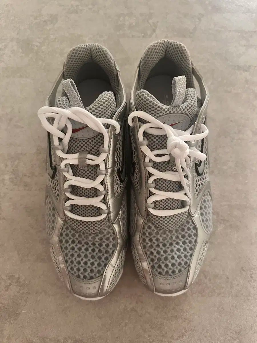 NIKE ナイキ エア ズーム スピリドン ケージ 2 メタリック シルバー 270