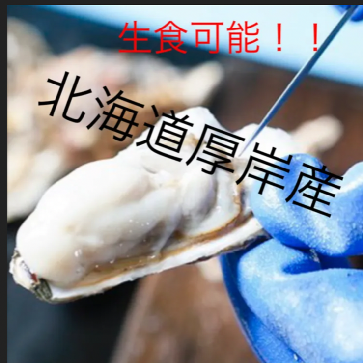 北海道厚岸産 殻付生牡蠣 Lサイズ 20個