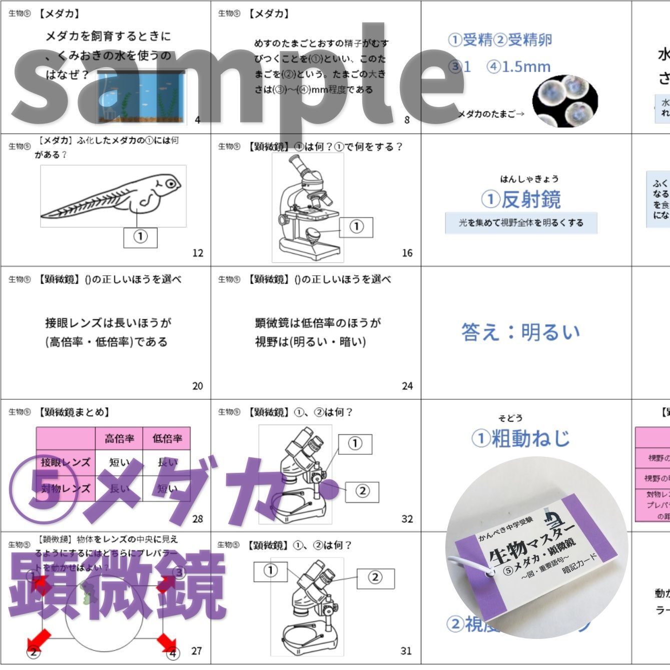☆【072】かんぺき中学受験理科 生物マスター①～⑨ 理科カード