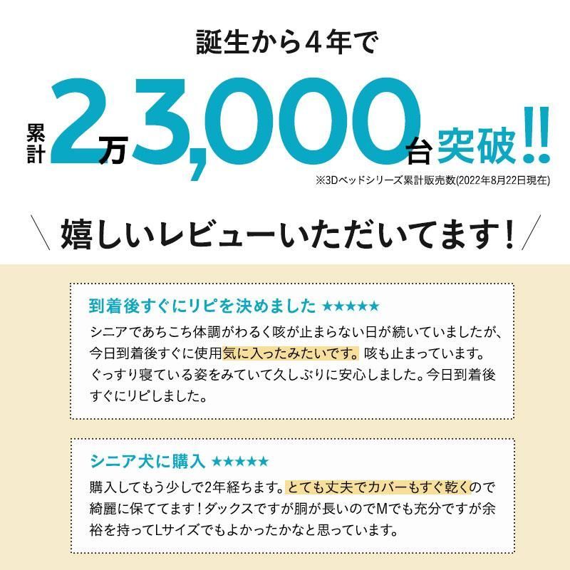 シニア