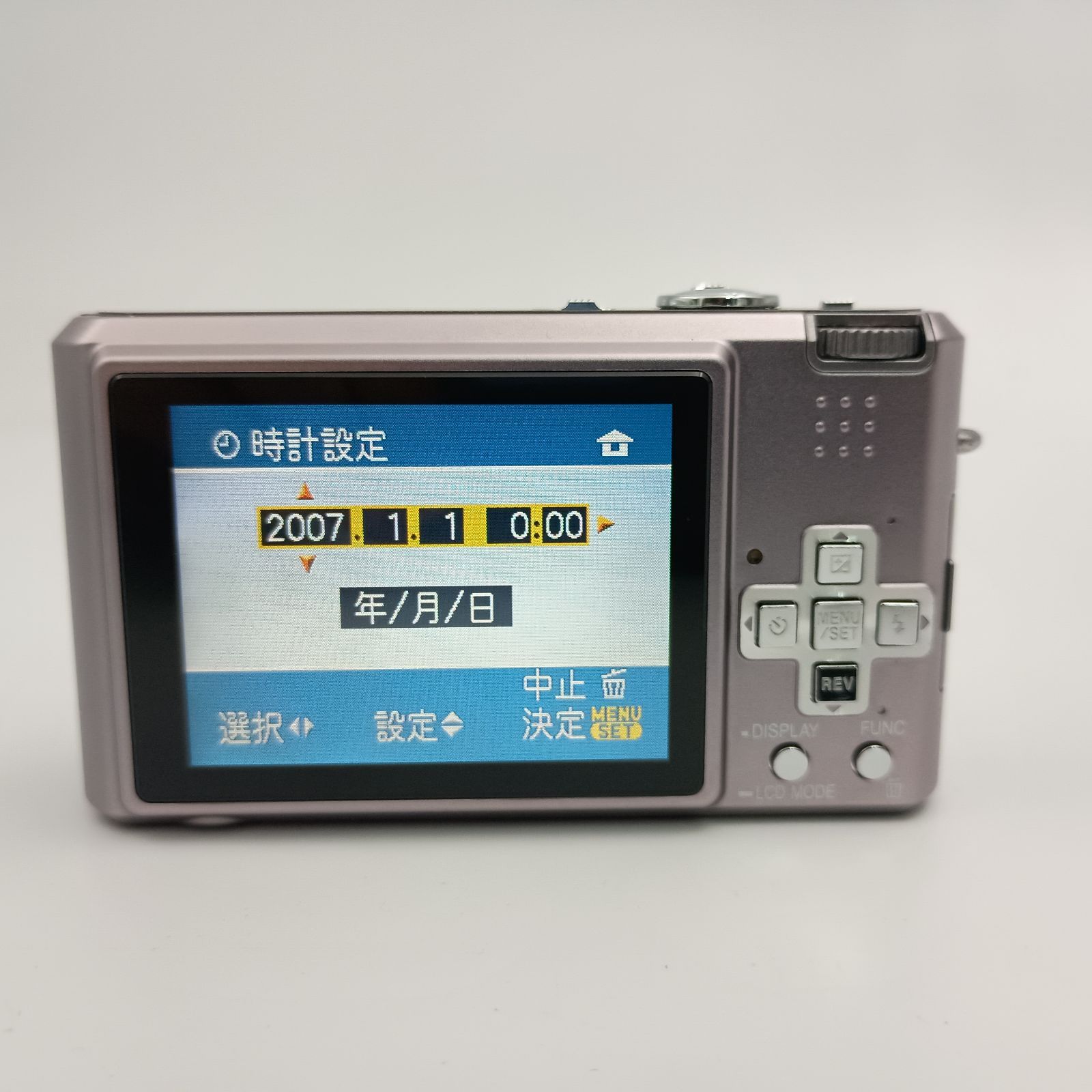 Panasonic LUMIX DMC-FX100 Compact DIGITAL Camera コンパクト