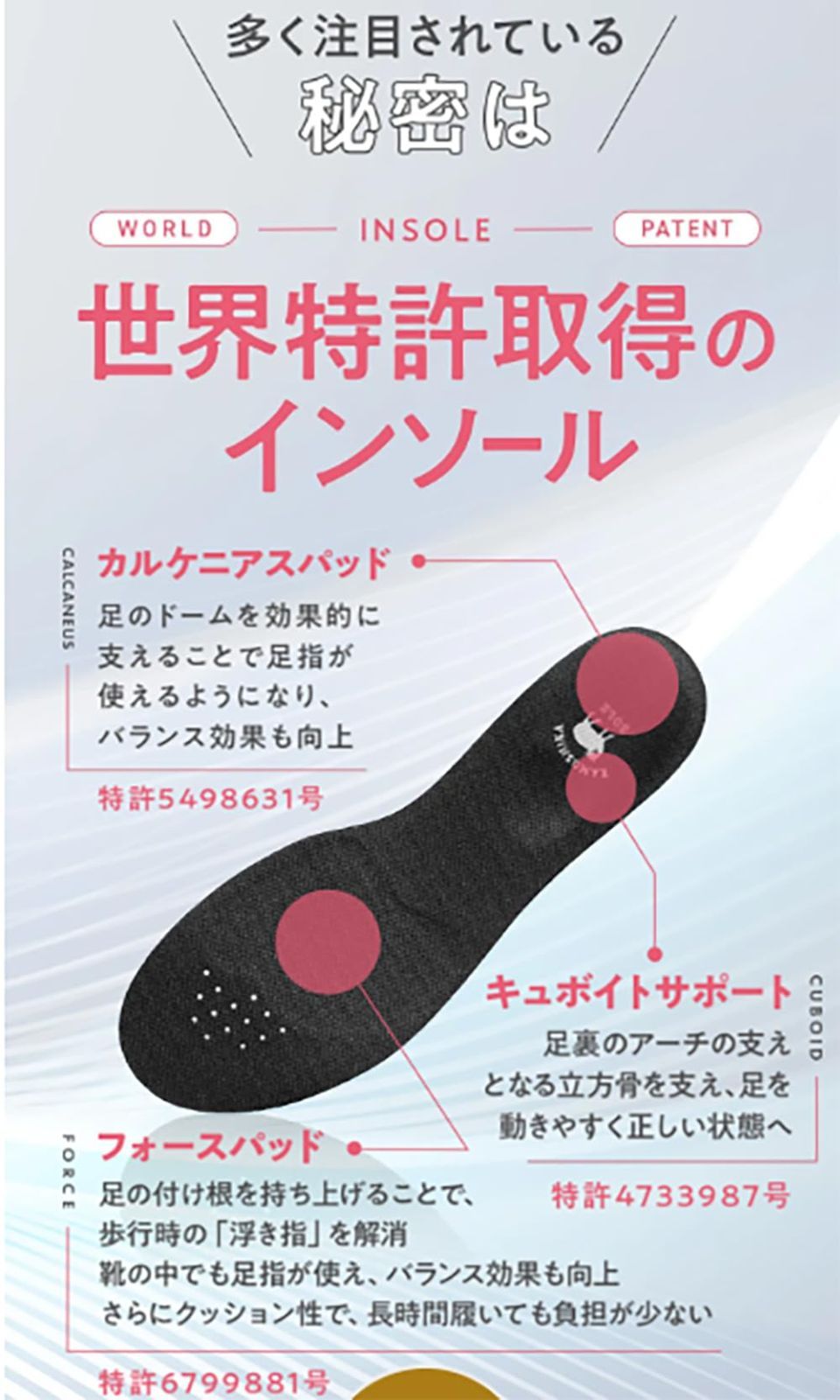 消費カロリー 姿勢サポート