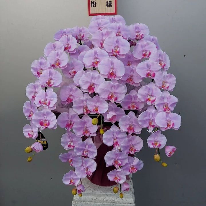 造花胡蝶蘭DXL/5F【ライトパープル】【造花】約高８０・幅50 ・光触媒