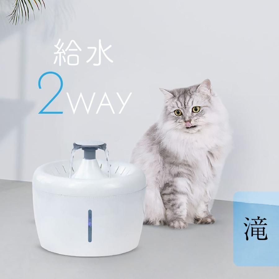 ねこ