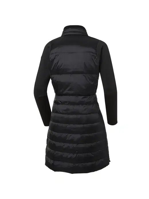 ワイドアングル 神経領域