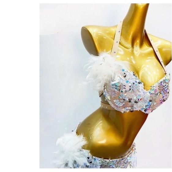 新品未使用 ベリーダンス衣装 上下セット 羽根 ブラ スカート