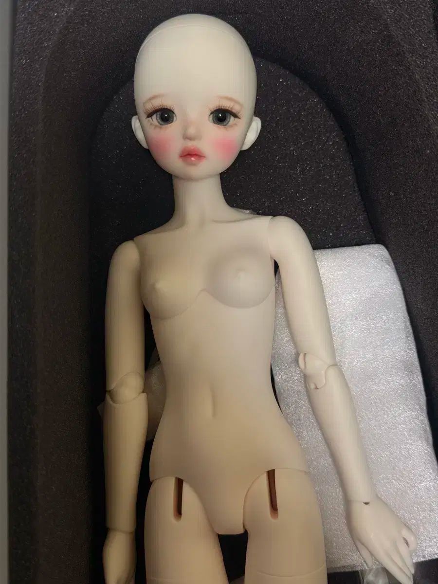 リナ シュシュ