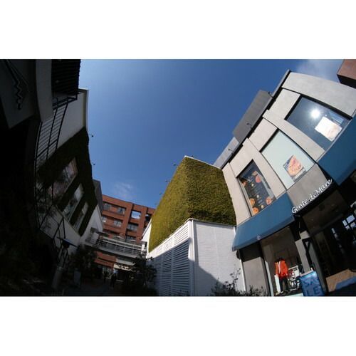 数量 アウトレット 処分 即配 KT トキナー SZ 8mm F2.8 FISH-EYE MF キヤノンMマウント ケンコートキナー 3年保証 CanonM ANDERSSEN-YACHTING_DE