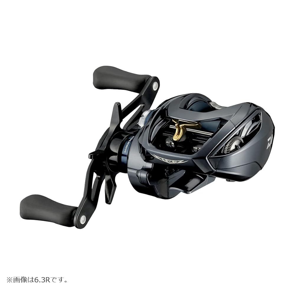 ダイワ DAIWA ベイトキャスティングリール スティーズ A TW HLC 8.1 R