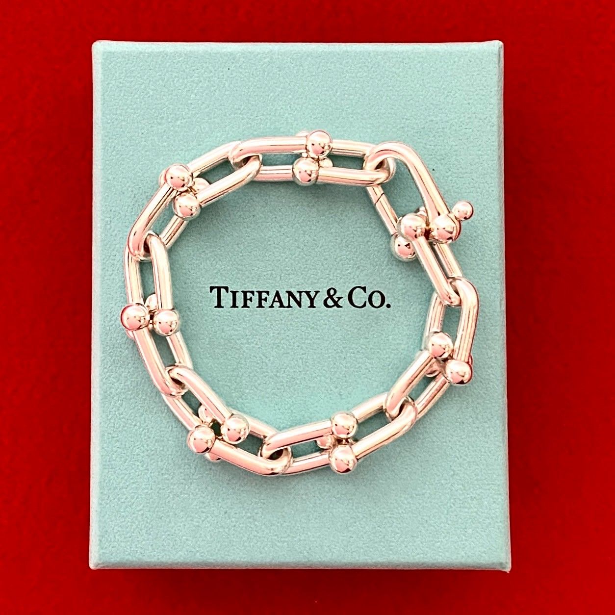 極 美品 保存箱付き TIFFANY&Co. ティファニー ハードウェア ラージ 