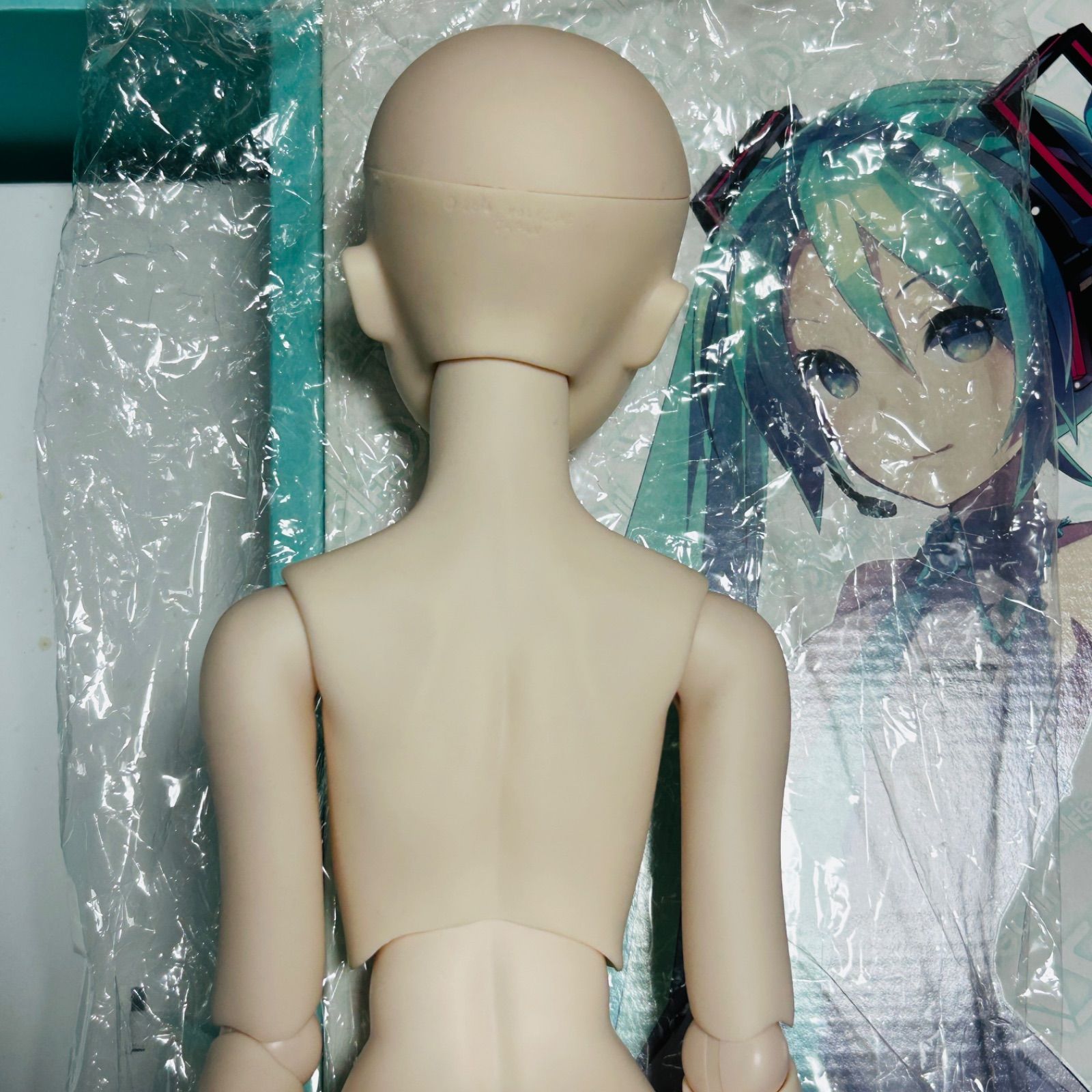 ドルフィードリーム 初音ミク