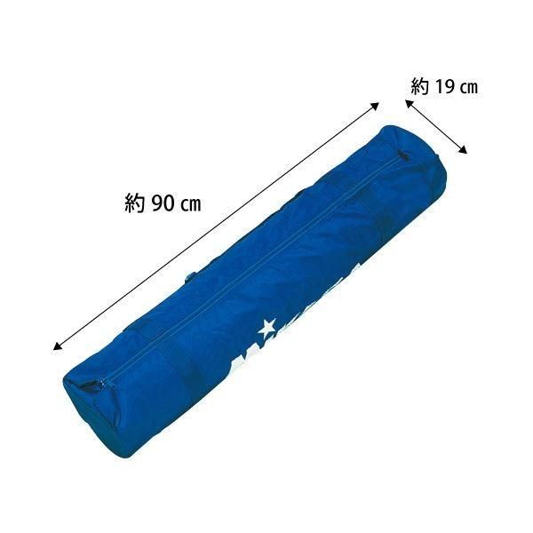 MIKASA（ミカサ）器具 ボールカゴ用（箱型・中、箱型・小） キャリーケース 〔BCCSPSSS〕