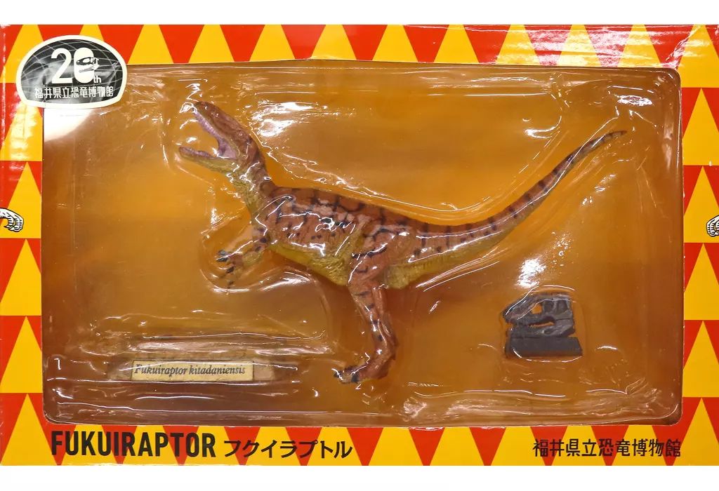 中古】フィギュア フクイラプトル 塗装済み完成品 福井県立恐竜博物館