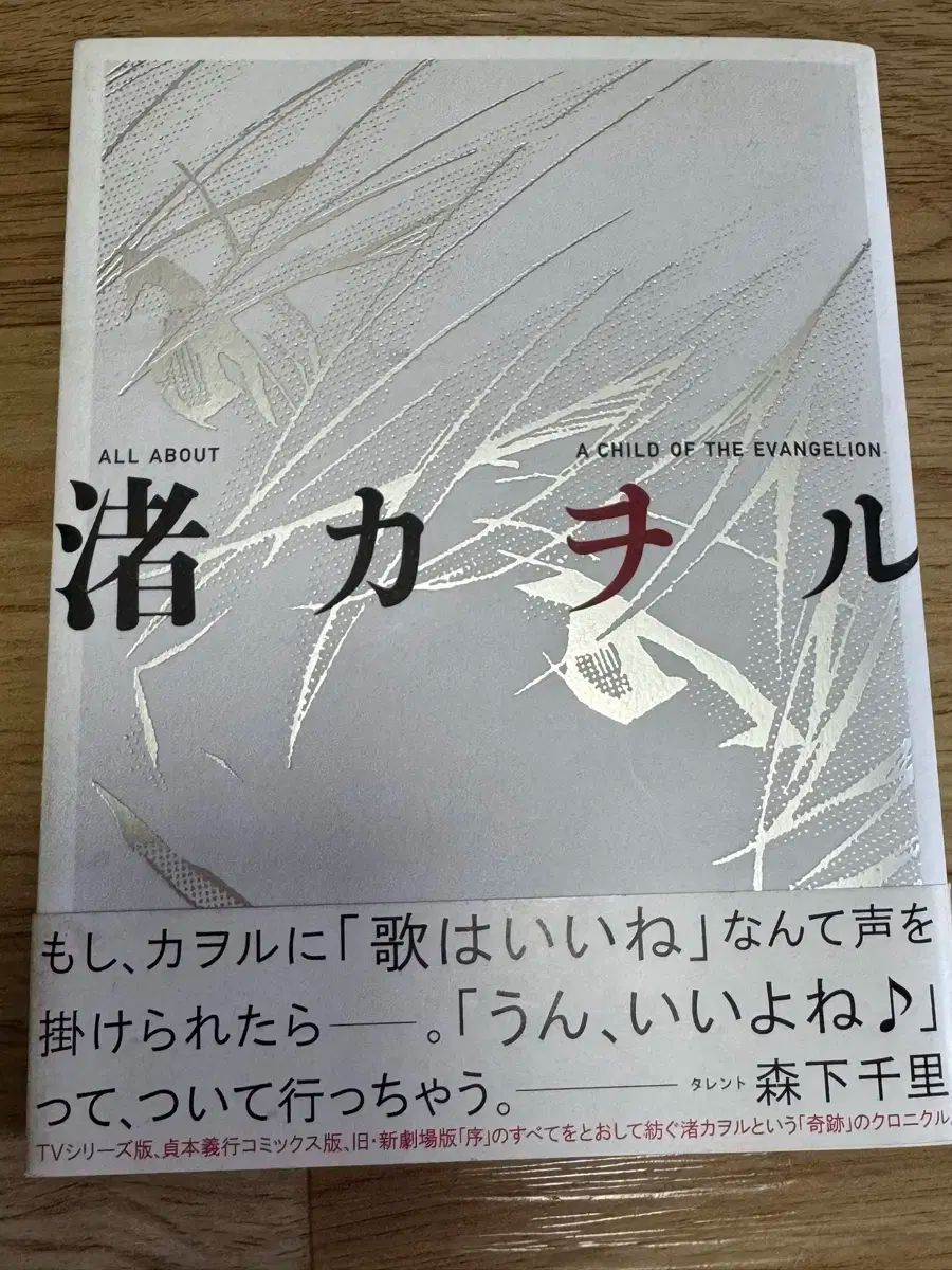 ALL ABOUT なぎさ カオル A CHILD OF EVANGELION