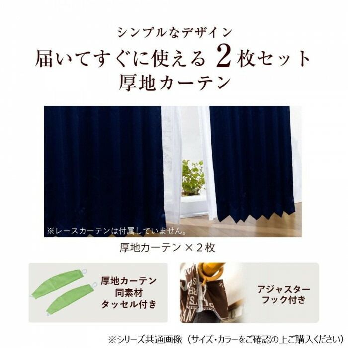 カーテン ペアリー 2P 100x135 P 545424000135013