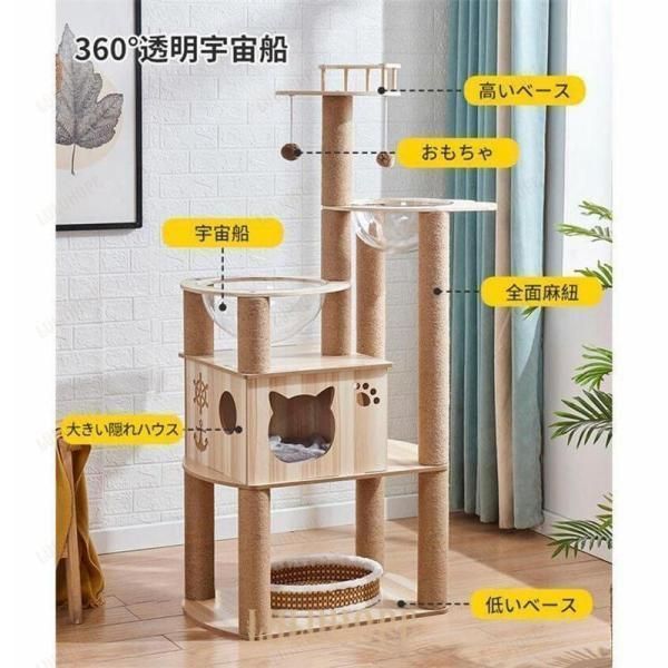 猫ベッド