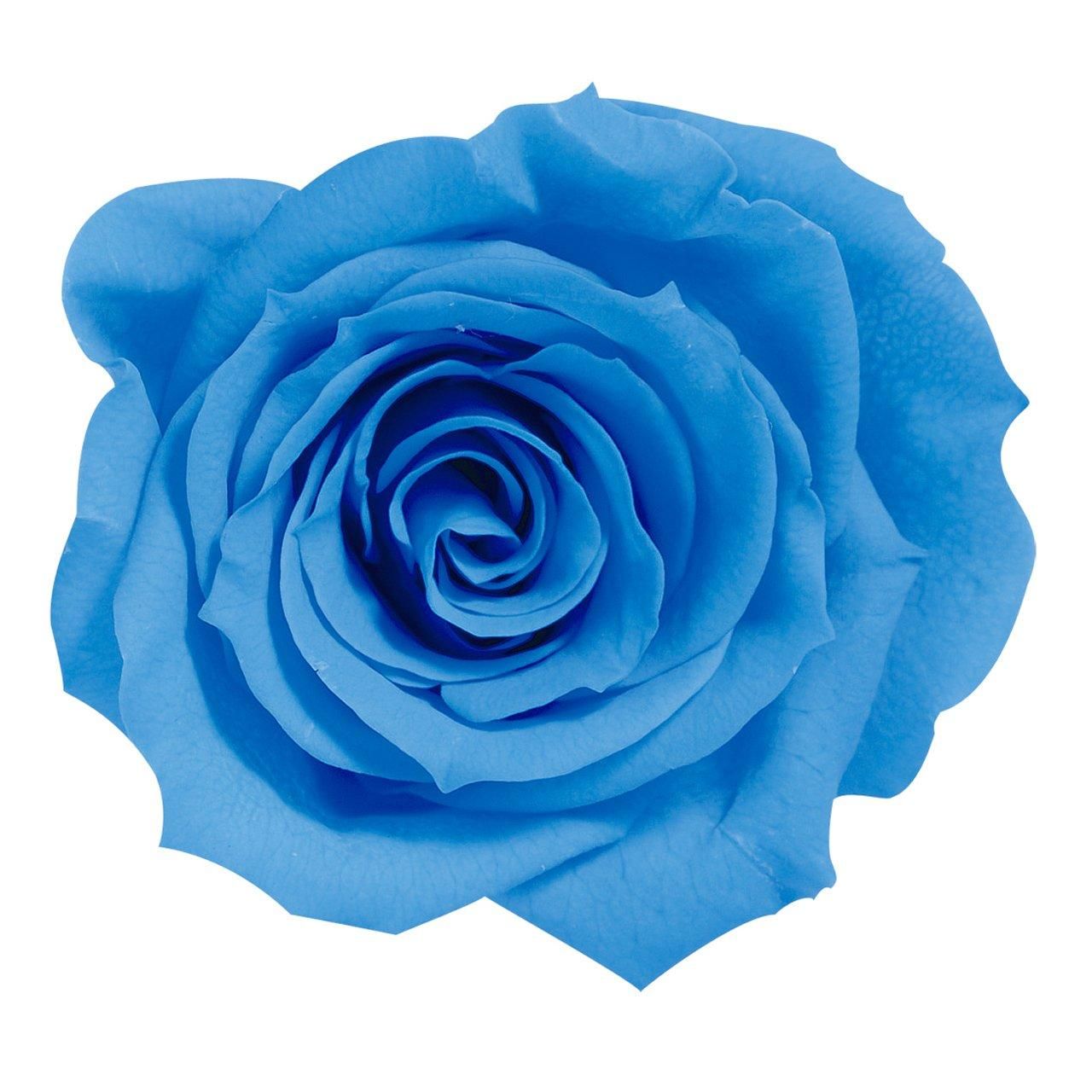 くわちゃん 10系シエンタ 7人 板 その2 くららりねっと様専用 10系