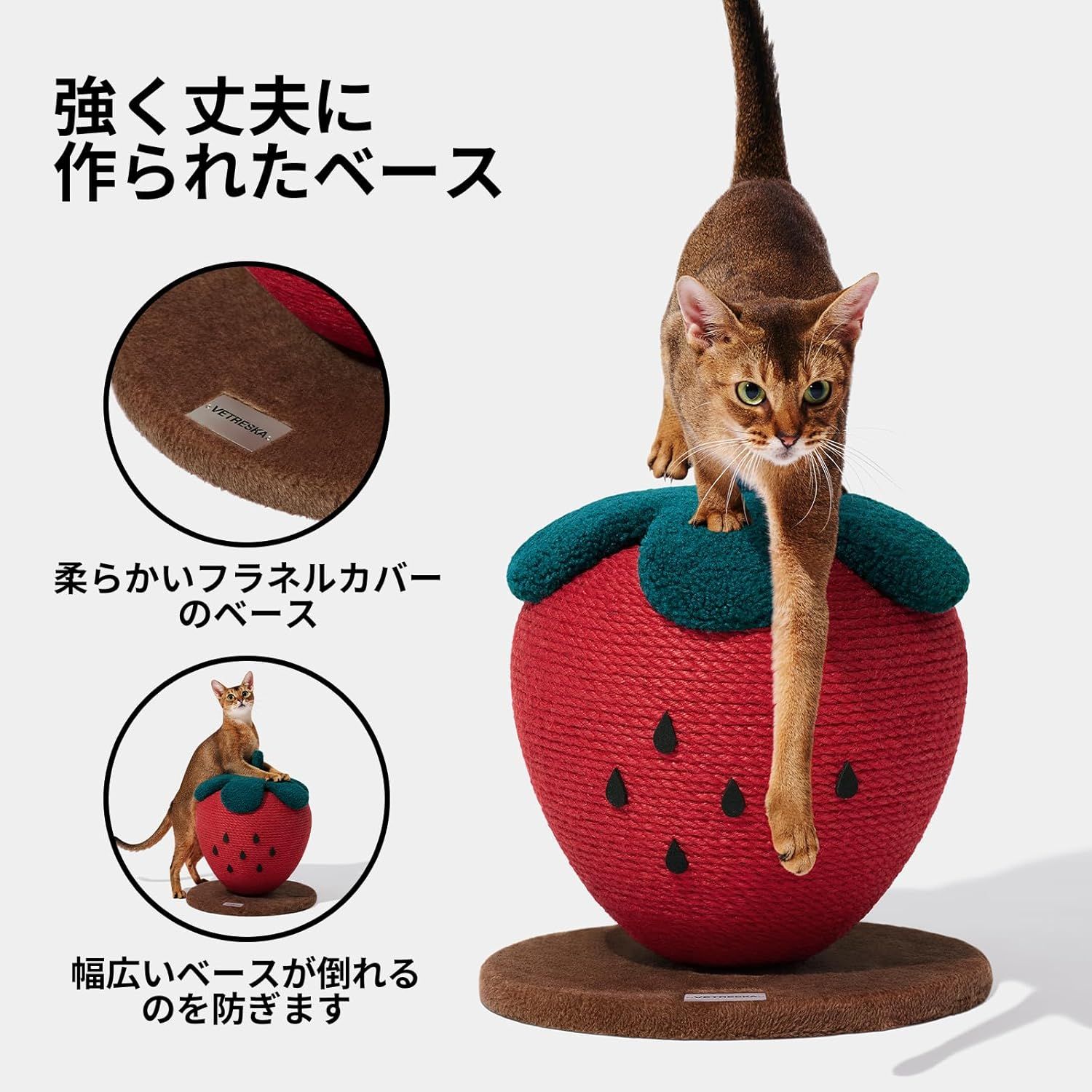 爪研ぎ
