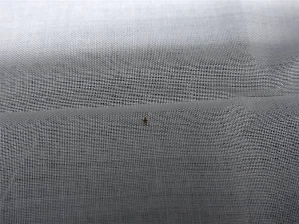 □極美品□ HERMES エルメス コットン100％ ハンカチーフ ポケット  