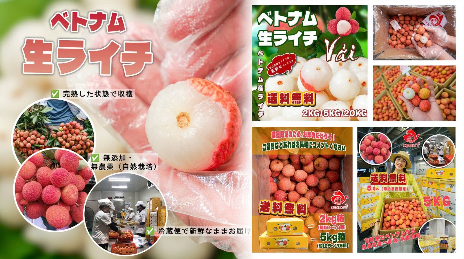 2KG ベトナム産　生ライチ 沖縄限定】ベトナム産 生ライチ 2kg 送料無料 - メルカリ