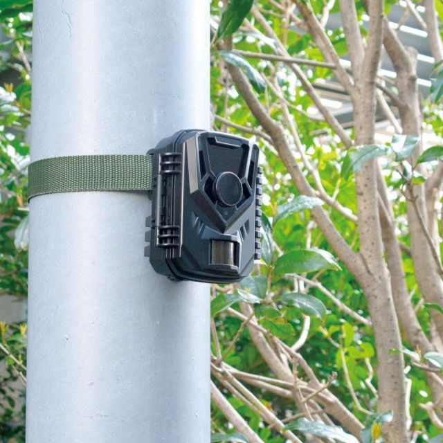 乾電池カメラ MOVE