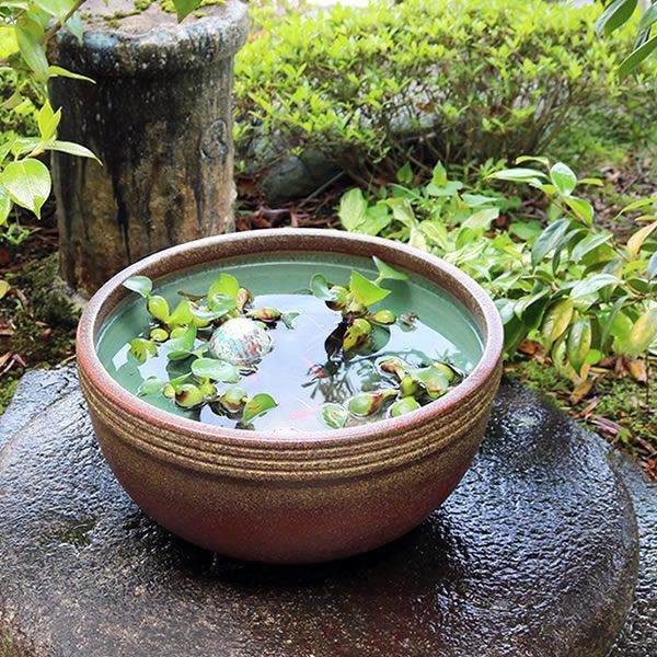 信楽焼 陶器 水鉢 メダカ鉢 金魚鉢 睡蓮鉢 13号窯肌ボール型水鉢 su-0082