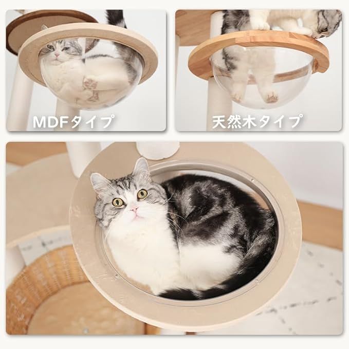 天然木