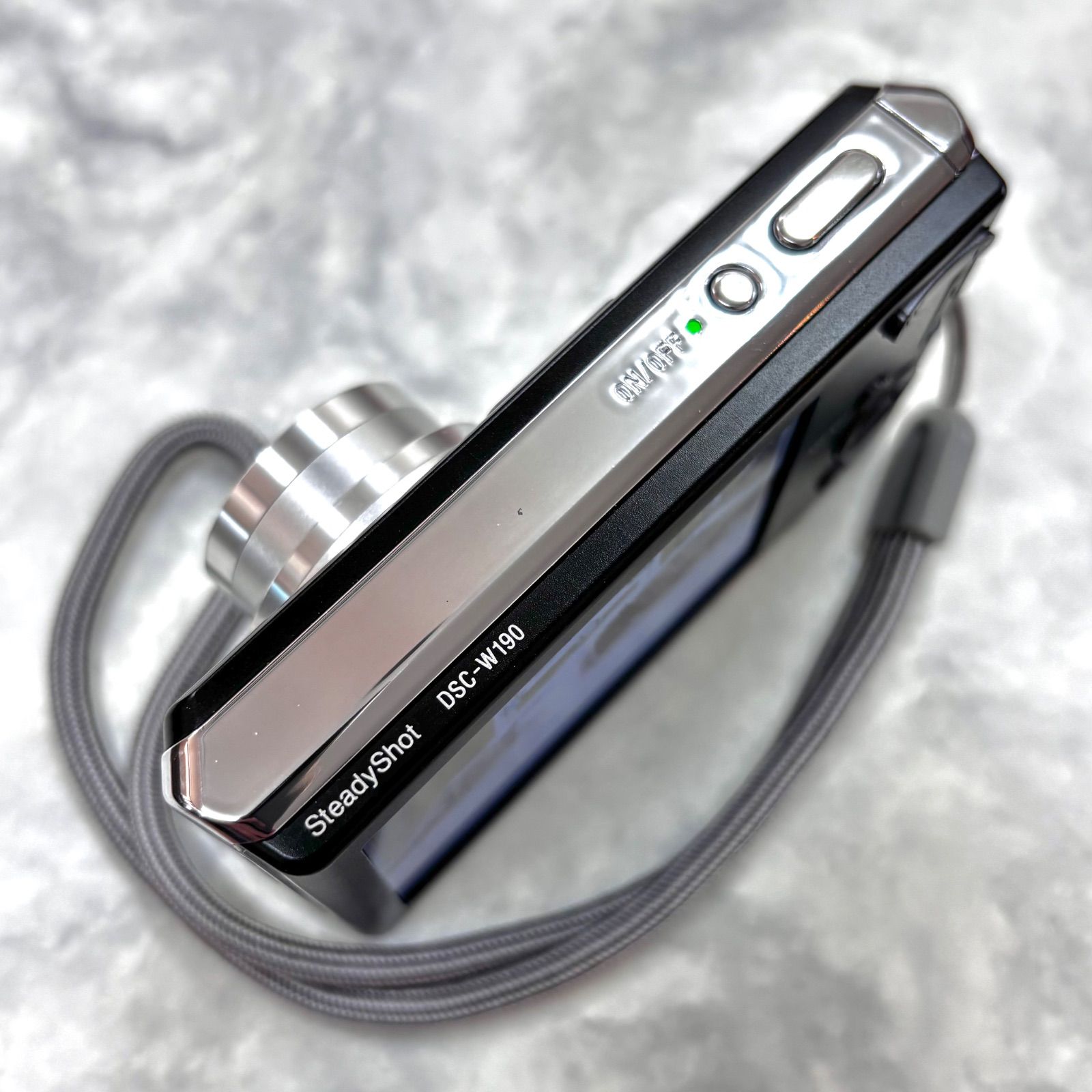 NO. DSC-W190