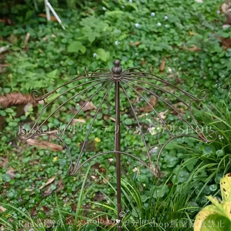 ヨーロピアン かわいい