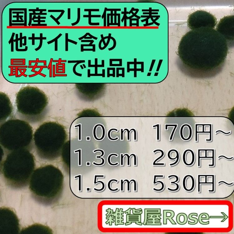 国産マリモ 雑貨屋Roseの価格表 - メルカリ