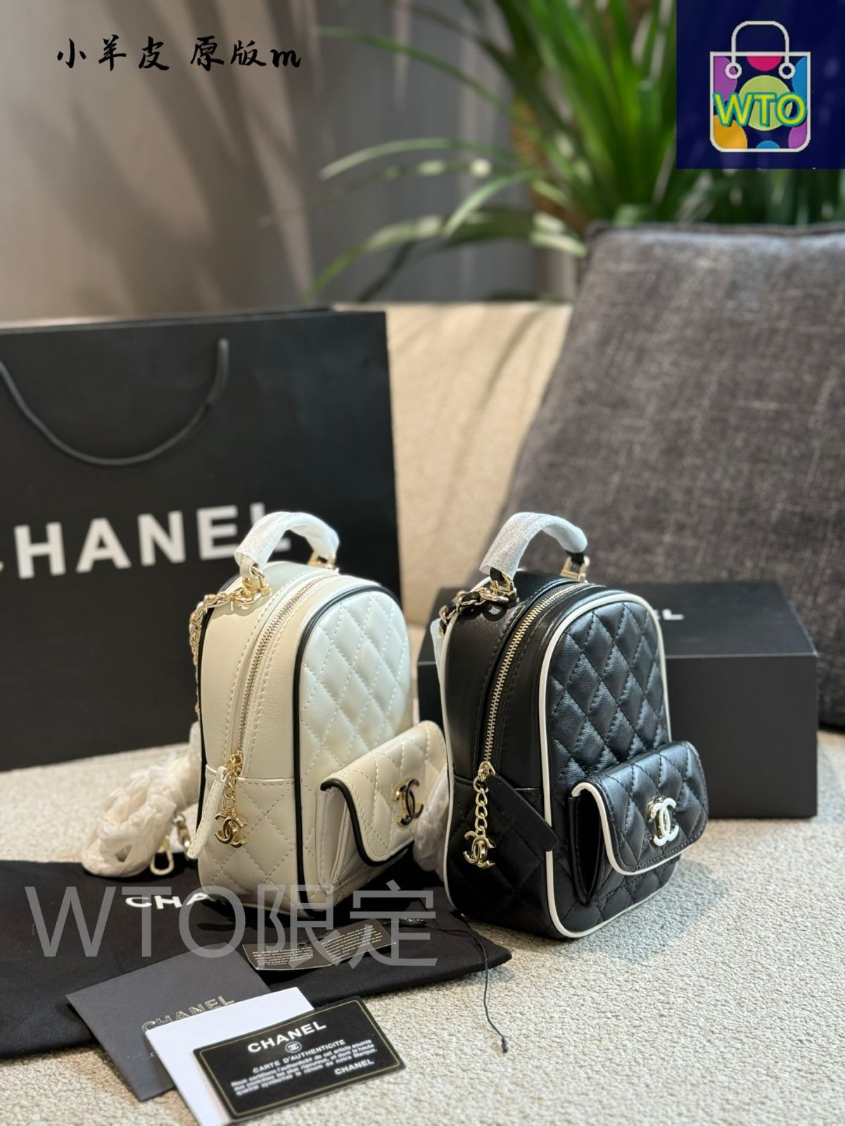 今日特価】Chanel Panda Color Multi-Function Mini Backpack