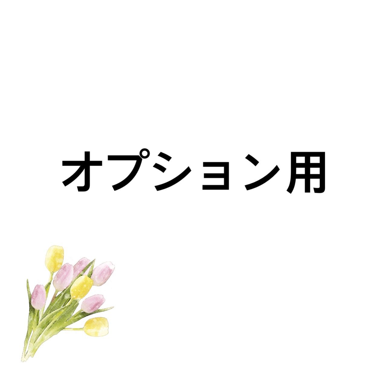 オプション用 購入ページ - メルカリ