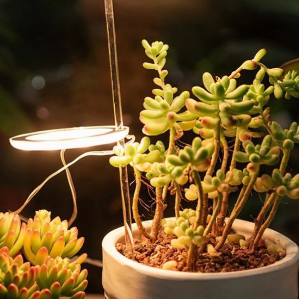 １灯 自然光 エンジェル型 植物育成ライト LED 】植物育成ランプ