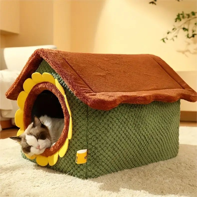 中型猫