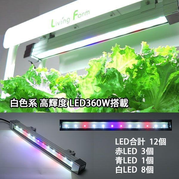 白色系 高輝度LED付