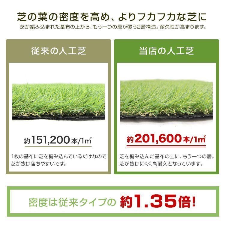 1m×10m